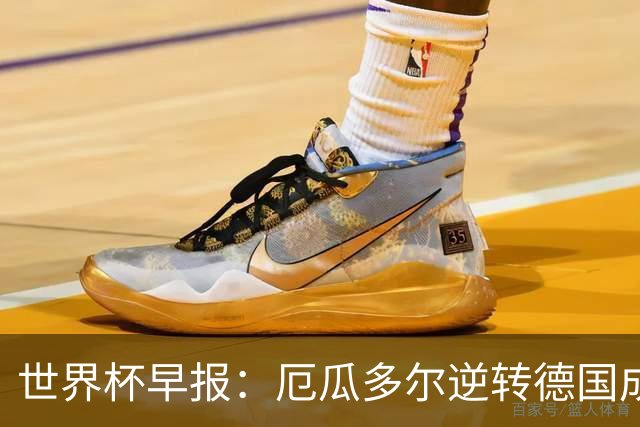 世界杯早报：厄瓜多尔逆转德国成功出线 科特迪瓦队史首次出线