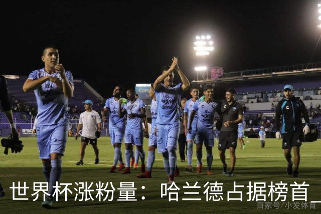 世界杯涨粉量：哈兰德占据榜首 沃齐尼亚粉丝涨幅97900%