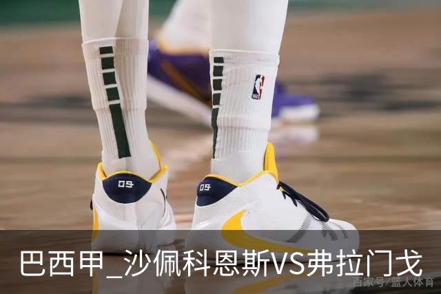 巴西甲 沙佩科恩斯VS弗拉门戈