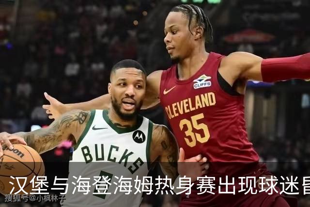 汉堡与海登海姆热身赛出现球迷昏迷，队医和救护车先后急救