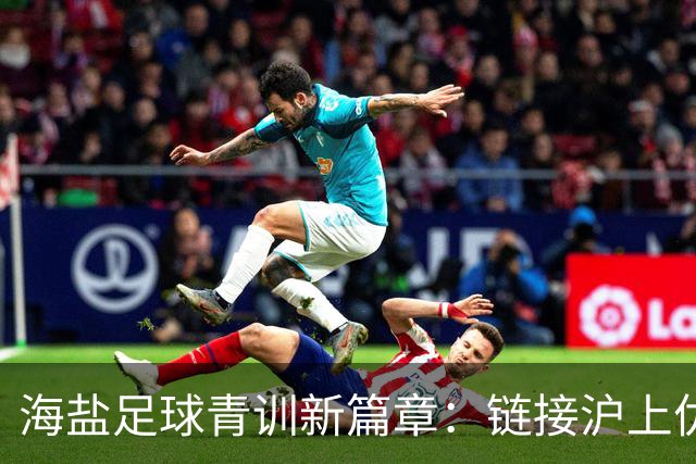海盐足球青训新篇章：链接沪上优质资源，助力少年梦想