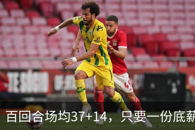 百回合场均37+14，只要一份底薪！这才是自由市场陷入停滞的原因